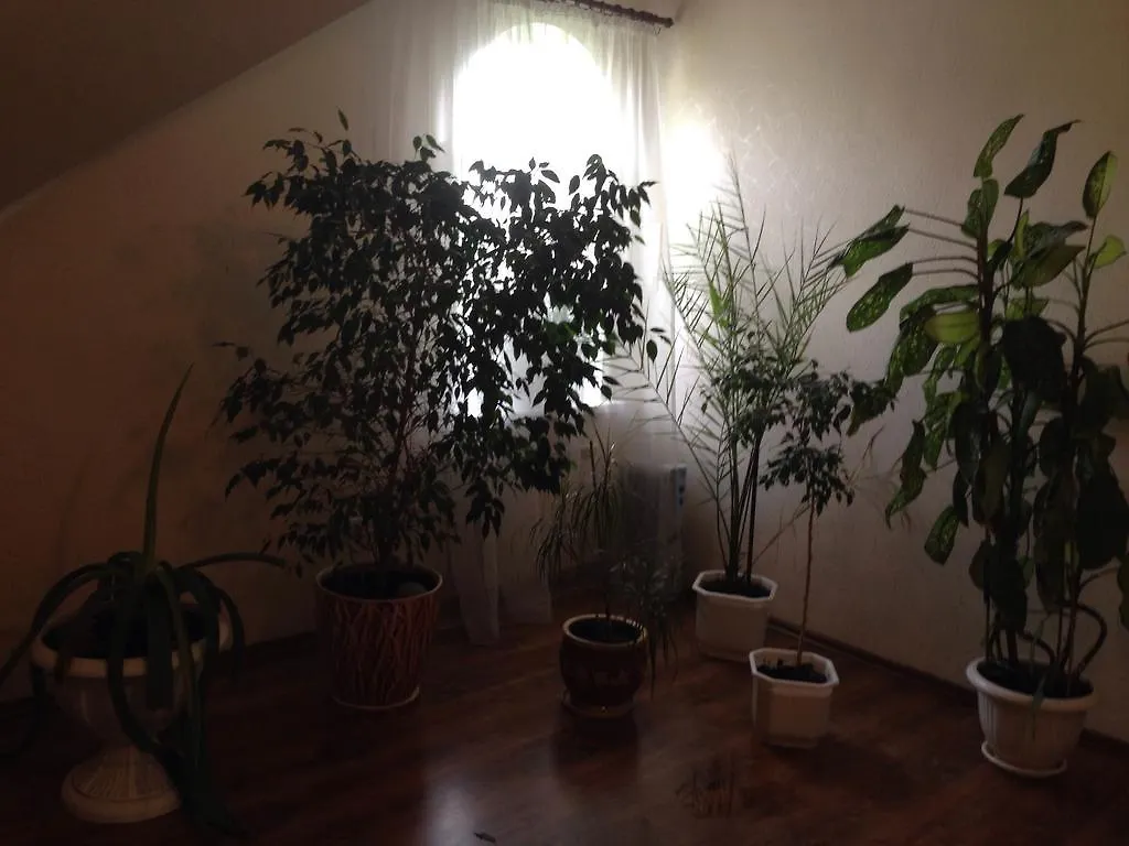 Rock Wall Bed and Breakfast Kiev Ucrania