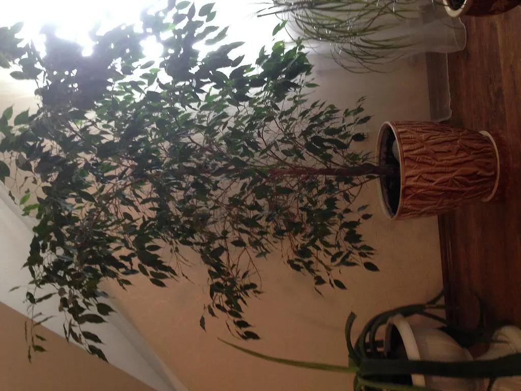 Rock Wall Bed & Breakfast Kyiv