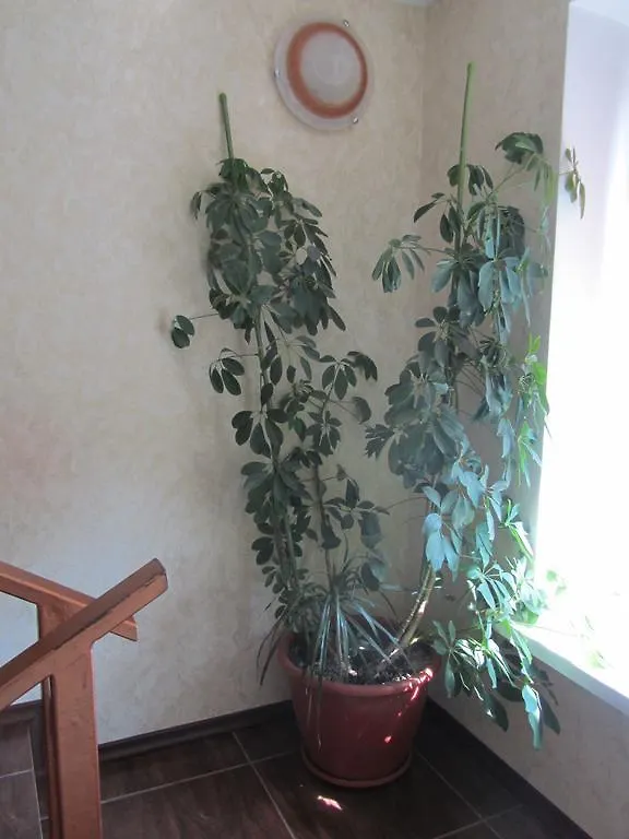 Rock Wall Bed & Breakfast Kyiv